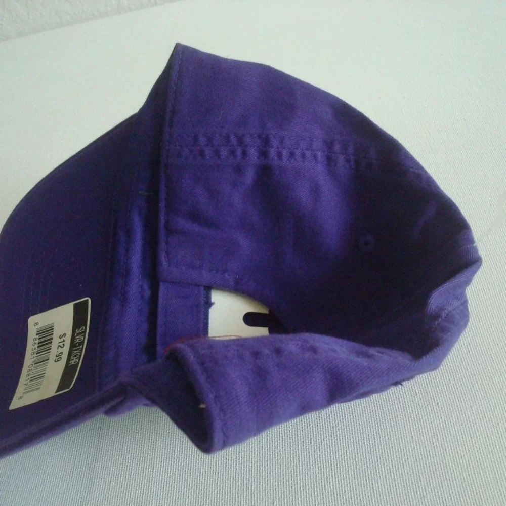 CAL STATE FULLERTON ZEPHYR M/LG HAT CAP VINTAGE‎ 00S Y2K M3